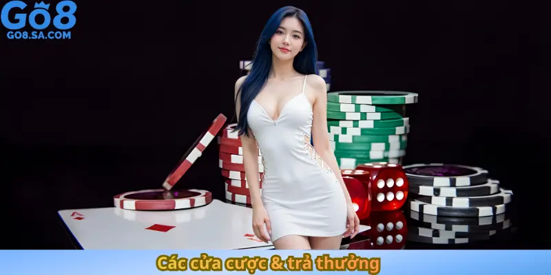 Các cửa cược & trả thưởng