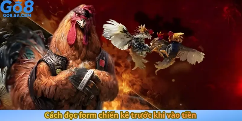 Cách đọc form chiến kê trước khi vào tiền