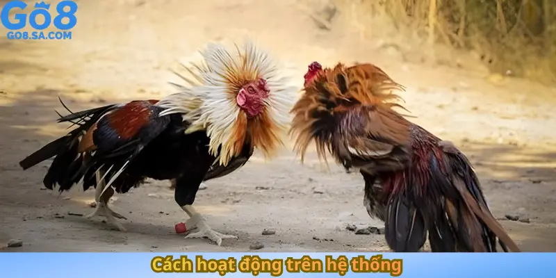 Cách hoạt động trên hệ thống