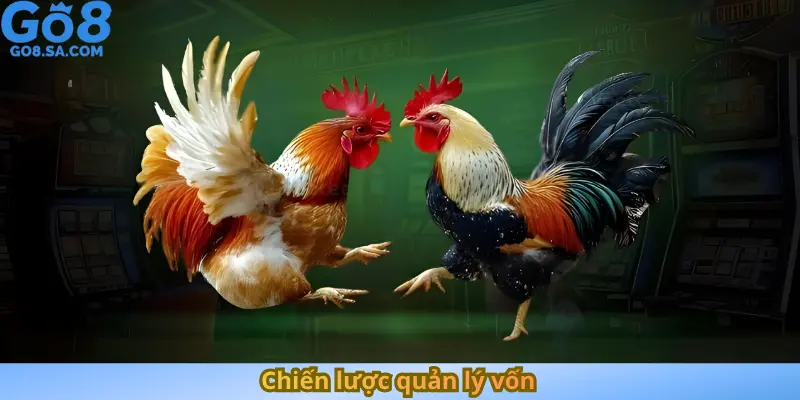 Chiến lược quản lý vốn