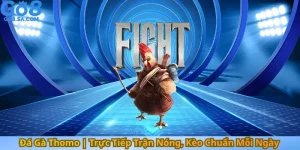 Đá Gà Thomo | Trực Tiếp Trận Nóng, Kèo Chuẩn Mỗi Ngày