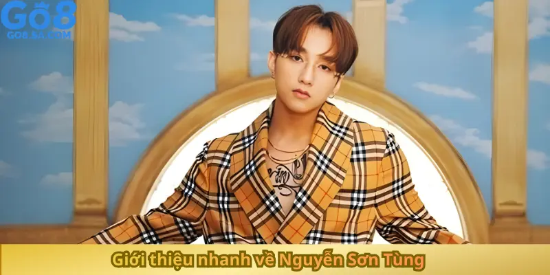 Giới thiệu nhanh về Nguyễn Sơn Tùng