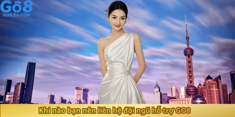 Khi nào bạn nên liên hệ đội ngũ hỗ trợ GO8