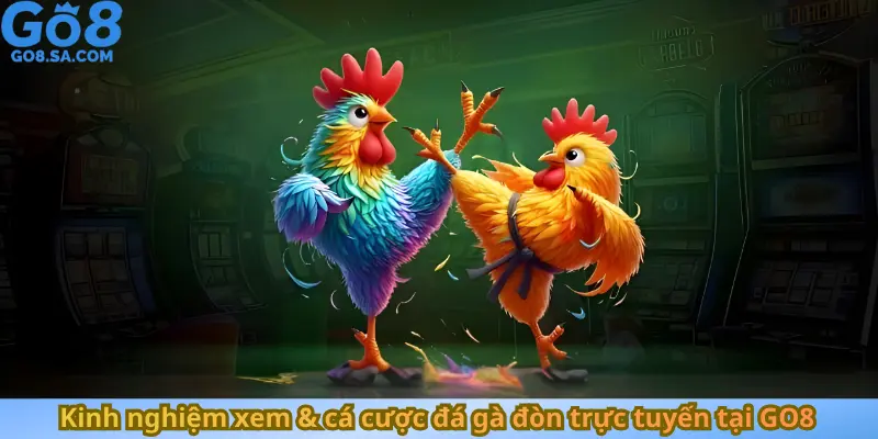 Kinh nghiệm xem & cá cược đá gà đòn trực tuyến tại GO8
