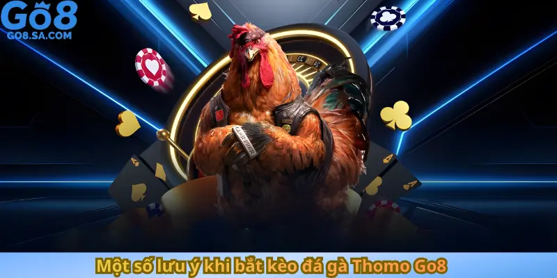 Một số lưu ý khi bắt kèo đá gà Thomo Go8