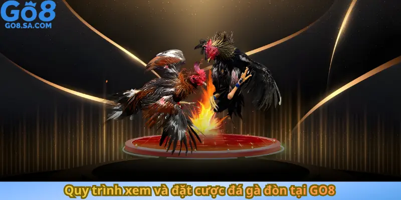 Quy trình xem và đặt cược đá gà đòn tại GO8