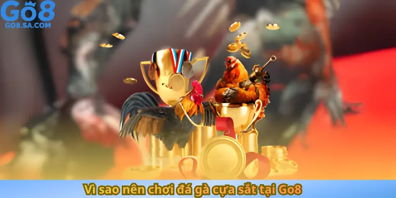 Vì sao nên chơi đá gà cựa sắt tại Go8